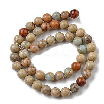 Natural Aqua Terra Jasper Beads Strands G-E444-14B-12mm-1
