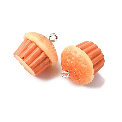 Opaque Resin Pendants RESI-K048-01E-1