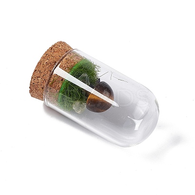 Natural Tiger Eye Mushroom Display Decoration with Glass Dome Cloche Cover G-E588-03F-1