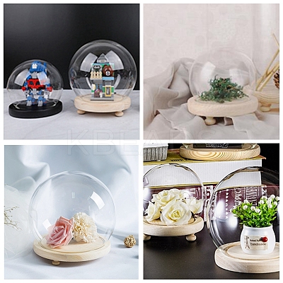 High Borosilicate Glass Cloche Globe Display Dome ODIS-F007-01B-1