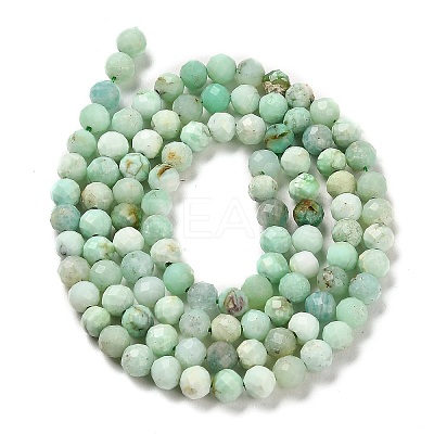 Natural Green Opal Beads Strands G-Z035-A02-03E-1