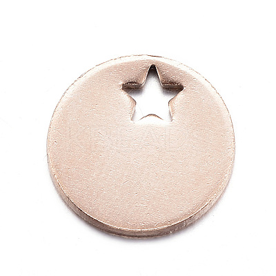 Ion Plating(IP) 304 Stainless Steel Charms LS-STAS-D167-06RG-1