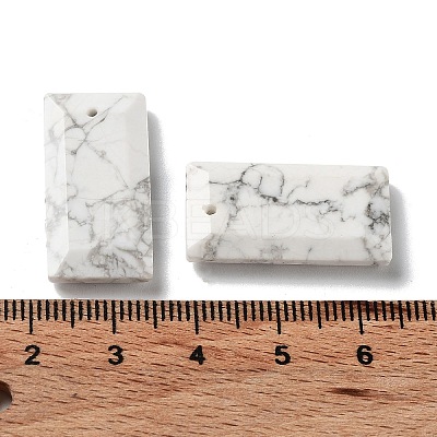 Natural Howlite Pendants G-G063-01H-1
