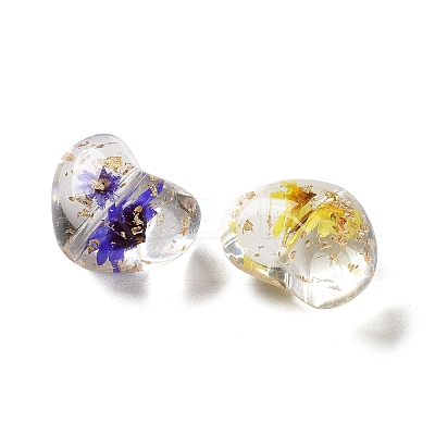 Transparent Resin Beads RESI-B031-02C-1