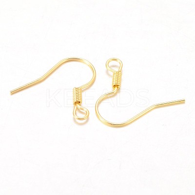 Iron Earring Hooks E133-G-1