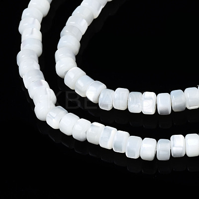 Natural Trochid Shell/Trochus Shell Beads Strands SSHEL-S266-016A-01-1