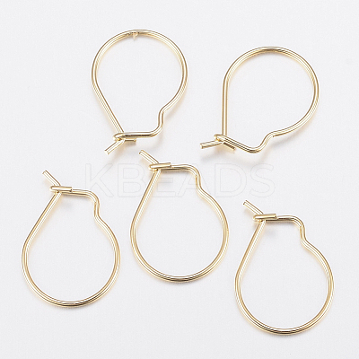 304 Stainless Steel Hoop Earrings Findings STAS-H436-02-1