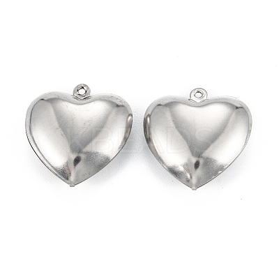 Non-Tarnish 316 Surgical Stainless Steel Pendants LS-STAS-C026-15A-P-1