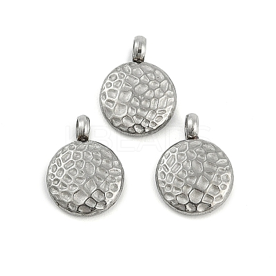 304 Stainless Steel Charms STAS-M017-13P-1