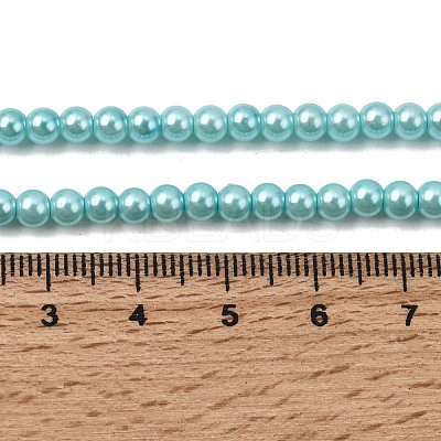 Eco-Friendly Dyed Glass Pearl Round Beads Strands HY-A002-4mm-RB104-1