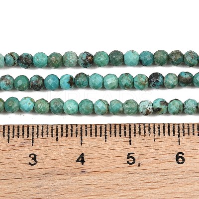 Natural HuBei Turquoise Beads Strands GG-CBA767B-A02-3MM-1