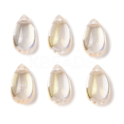 Transparent Glass Charms LS-GLAA-U002-01G-1