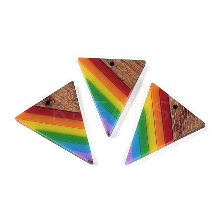Rainbow Color Opaque Resin & Wood Pendants WOOD-K012-13-1