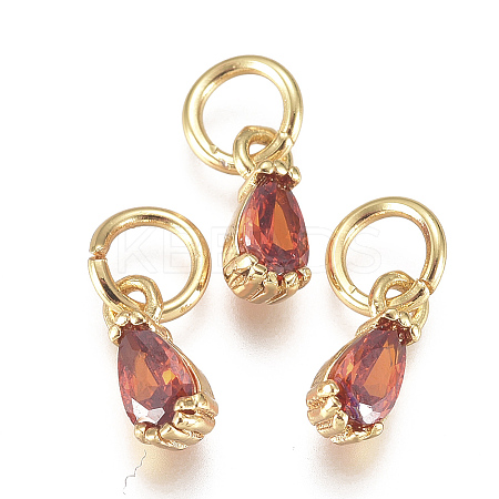 Brass Micro Pave Cubic Zirconia Charms ZIRC-F111-04G-06-1