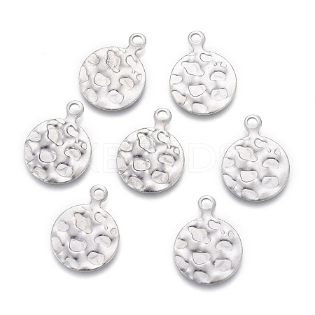 Non-Tarnish 304 Stainless Steel Charms STAS-F249-48P-1
