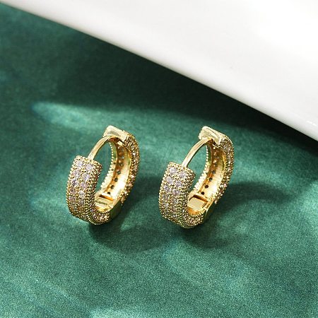 Brass Micro Pave Clear Cubic Zirconia Hoop Earrings EJEW-S277-09G-A-1
