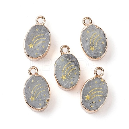 Natural Labradorite Pendants G-C102-08C-G-1