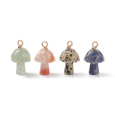 4Pcs 4 Styles Natural Mixed Stone Pendants PALLOY-TA00005-1