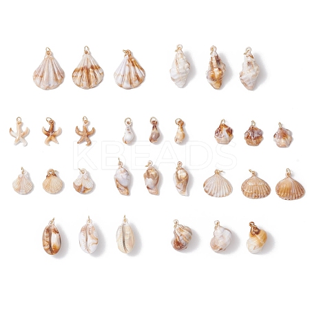 30Pcs 10 Styles Acrylic Pendants PALLOY-JF03989-02-1