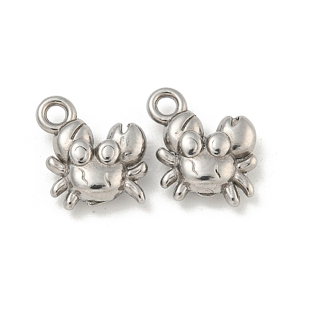 Non-Tarnish 304 Stainless Steel Charms STAS-N103-81P-1