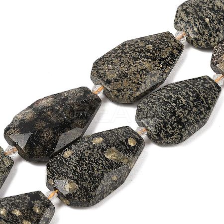 Natural Snowflake Obsidian Beads Strands G-P548-B20-01-1