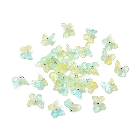 Glass Charms GLAA-G127-04G-1