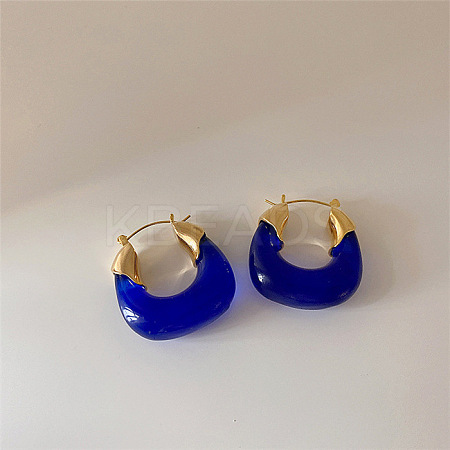 Retro Alloy Resin U-Shaped Hoop Earrings FS-WG1DDE7-03-1