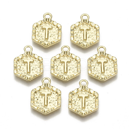 Alloy Pendants PALLOY-N157-003T-NR-1