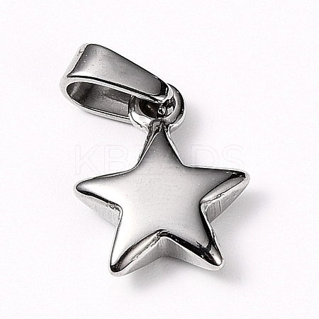 Non-Tarnish 304 Stainless Steel Charms X-STAS-I127-067P-1