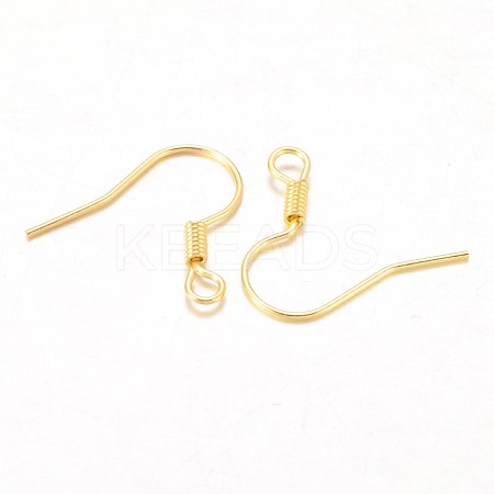 Iron Earring Hooks E133-G-1