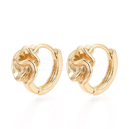 Brass Hoop Earrings EJEW-T048-21G-1