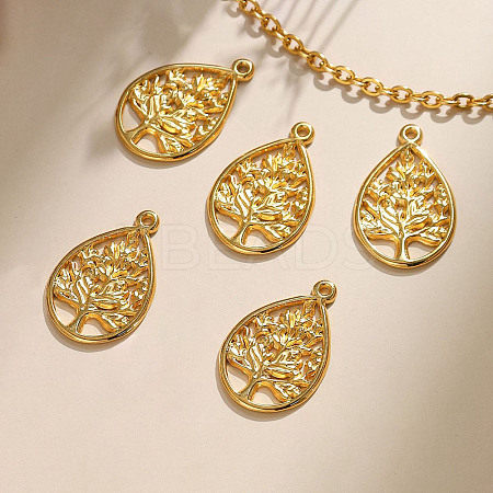304 Stainless Steel Pendants STAS-M116-31G-1