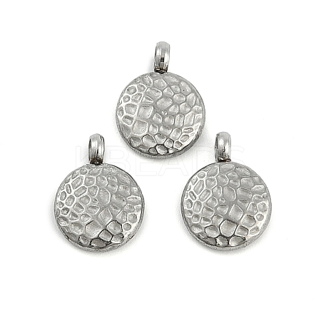 304 Stainless Steel Charms STAS-M017-13P-1