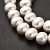 Shell Pearl Beads Strands BSHE-F013-01A-4