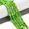 Dyed Synthetic Imperial Jasper Beads Strands G-M403-A37-01-2