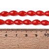 Opaque Solid Color Glass Beads Strands GLAA-N071-01A-C04-4