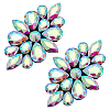 2Pcs Flower Glass Rhinestone Costume Accessories FIND-FG0004-81C-1