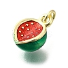 Brass with Enamel Charms KK-Q066-01C-G-2