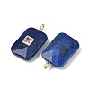 Dyed Natural Lapis Lazuli Pendants G-I391-03G-08-2