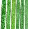 Electroplate Glass Beads Strands EGLA-A044-T2mm-A11-2