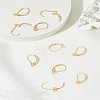 10Pcs Brass Hoop Earring Findings DIY-LP0001-99G-1