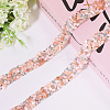 2Pcs Hotfix Rhinestone OCOR-GL0001-09-4