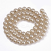 Natural Dyed Agate Beads Strands G-N326-12A-01-2