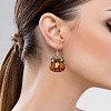 Acrylic Dangle Earrings FS-WGE7B92-01-5