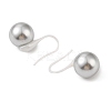 Hypoallergenic Bioceramics Zirconia Ceramic Dnagle Earrings EJEW-C111-17-2