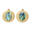304 Stainless Steel Natural Paua Shell Pendants STAS-L288-08G-01-1