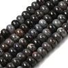 Natural Bamboo Leaf Agate Beads Strands G-A280-A07-01-2