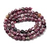 Natural Plum Blossom Tourmaline Beads Strands G-G344-C01-6mm-3