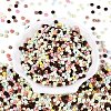 Opaque Glass Seed Beads SEED-N012-09A-2