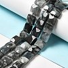 Natural Eagle Eye Stone Beads Strands G-G980-12-2